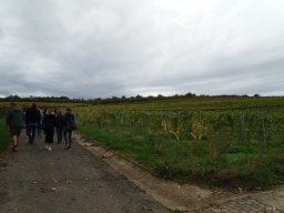 Weinfest Bockenheim 2019